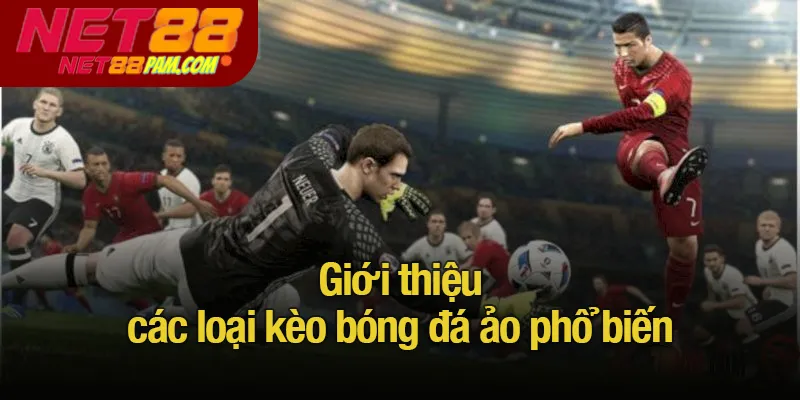 Giới thiệu các loại kèo bóng đá ảo phổ biến